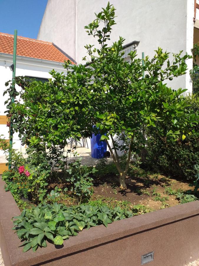 Jelicic Appartamento