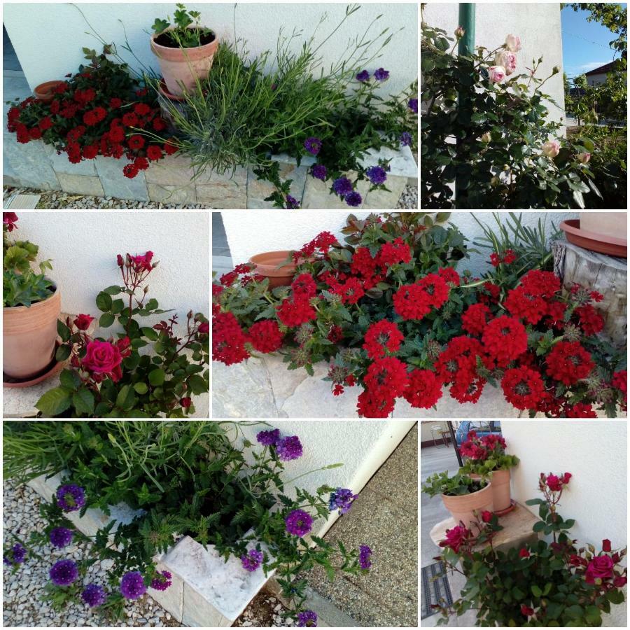 Appartamento Jelicic Biograd Na Moru