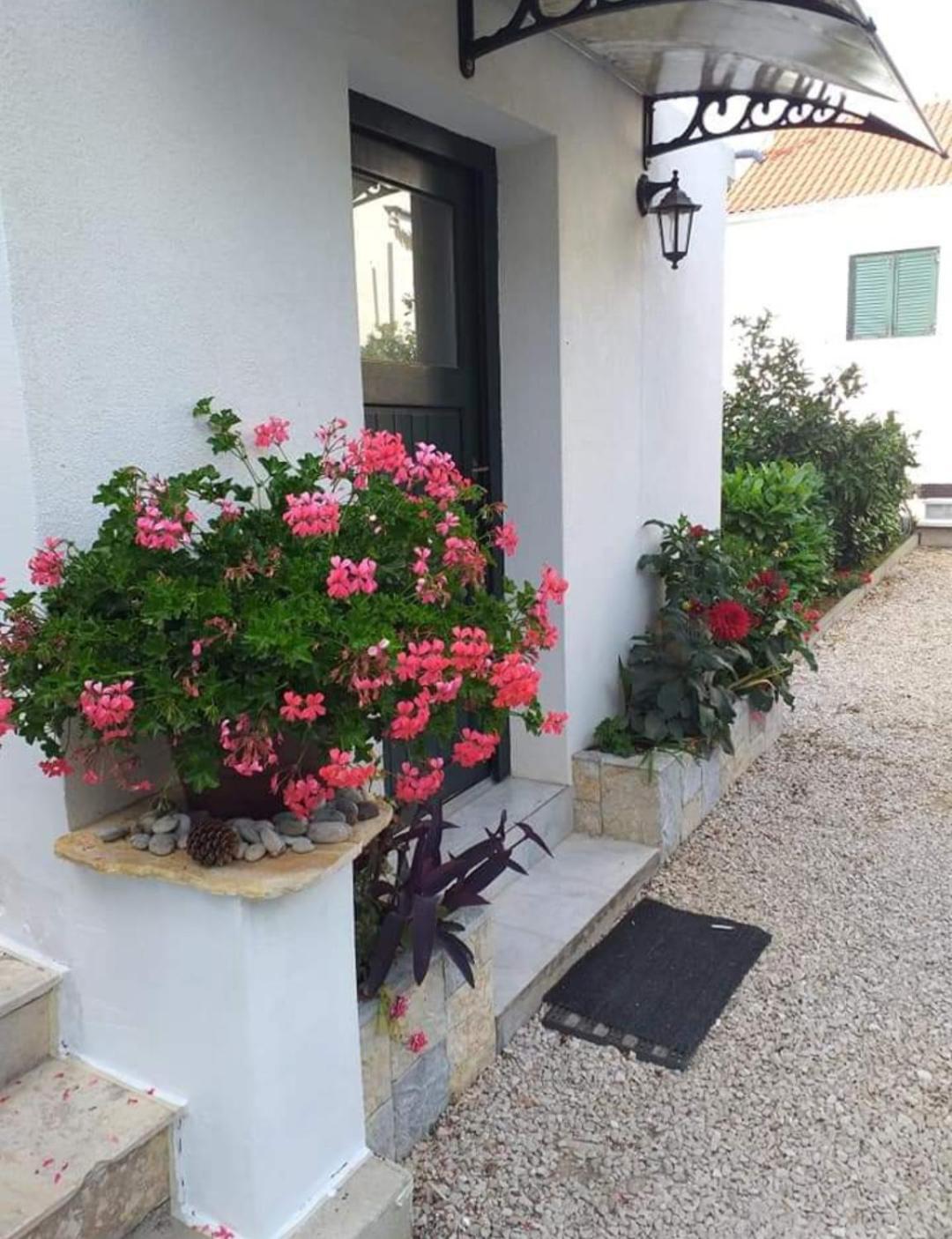 Apartment Jelicic *