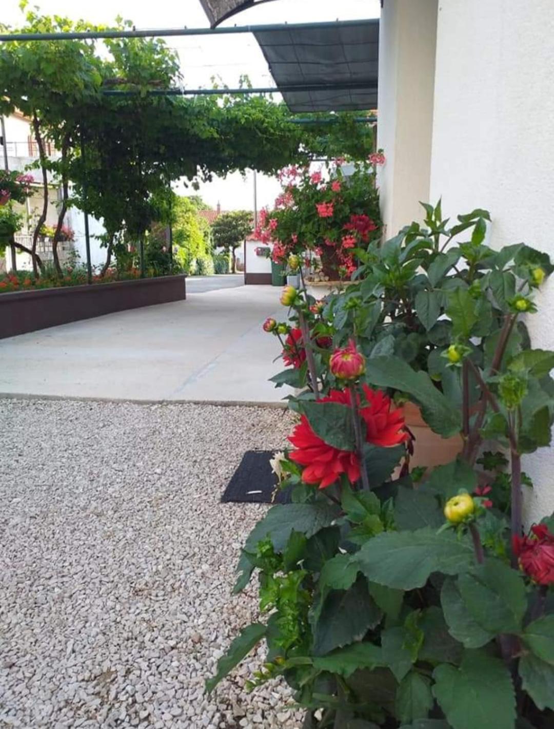 Apartment Jelicic Biograd Na Moru